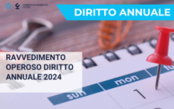 Ravvedimento operoso diritto annuale 2024