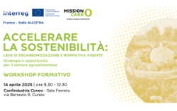 Accelerare la sostenibilità: leve di decarbonizzazione e normativa vigente