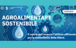Agroalimentare sostenibile: Il valore dell'acqua e l'utilizzo efficiente per la sostenibilità della filiera.