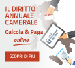 Diritto annuale camerale